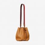 Hermes Toffee/Havane/Capucine Licol 17 Bag