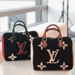 Louis Vuitton Teddy Speedy 25 Bag