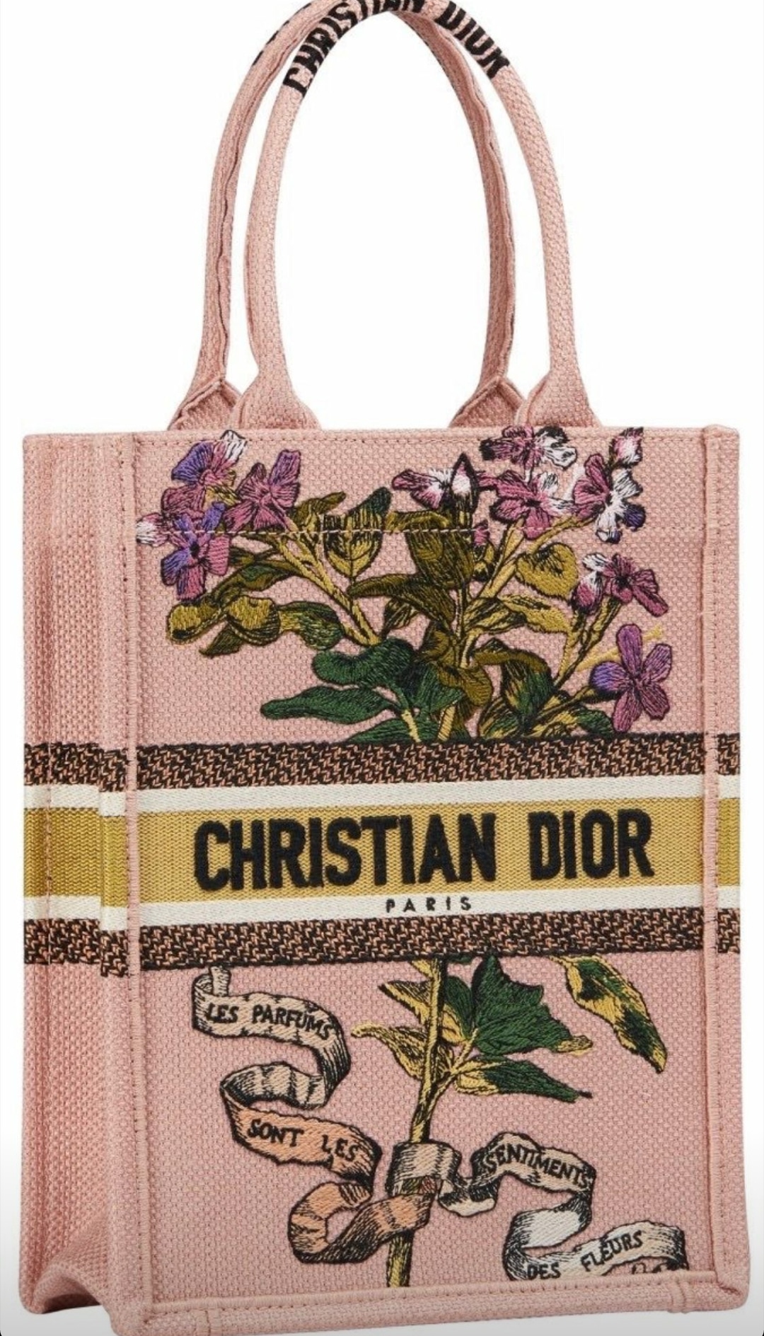 Dior Vertical Book tote - Cruise 2021