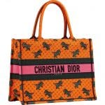 Dior Dinosaur Book Tote Bag - Prefall 2021