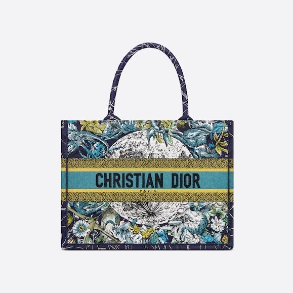 Small Blue Constellation Dior Book Tote