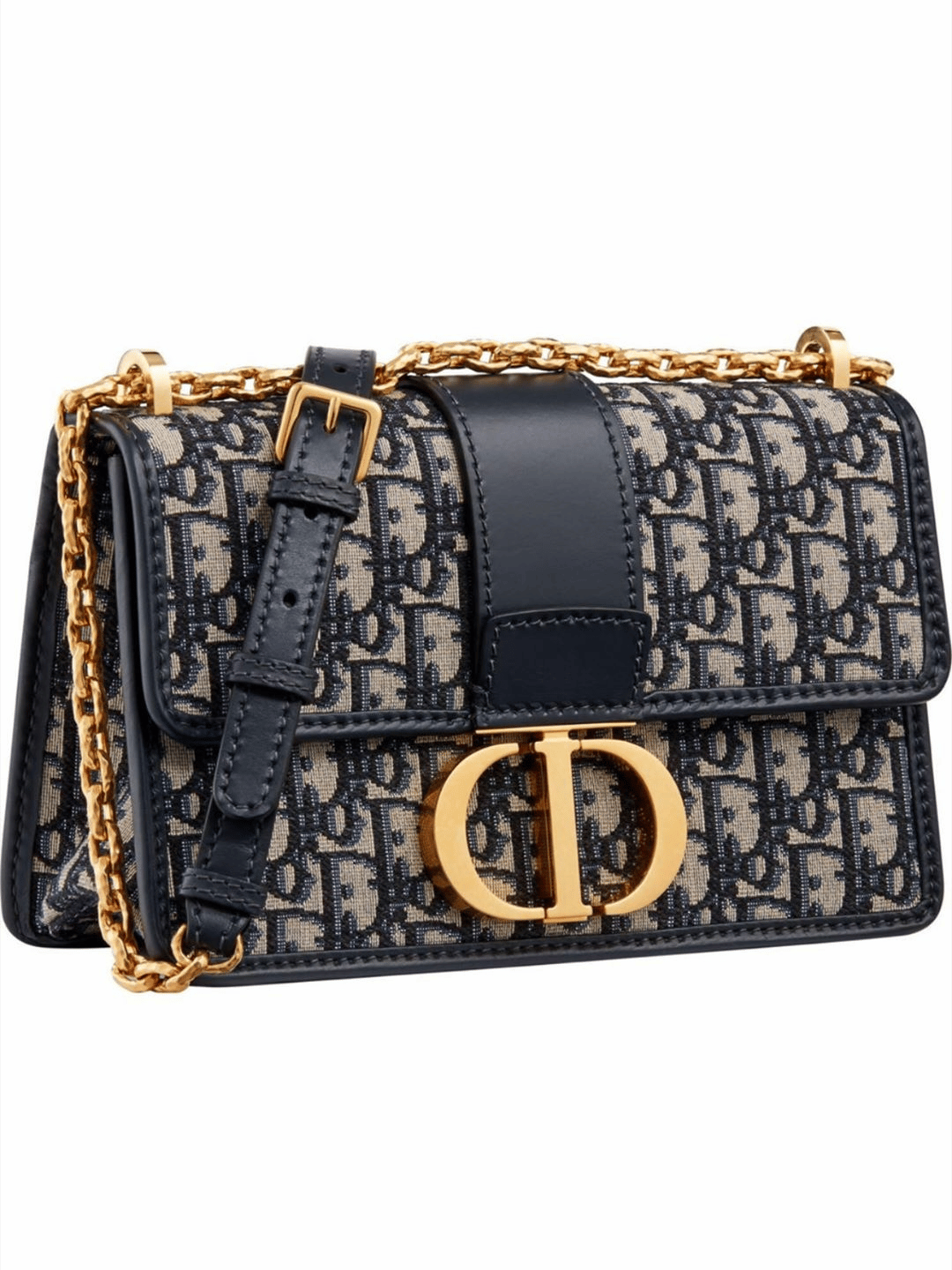 Dior Oblique 30 Montaigne Flap Bag