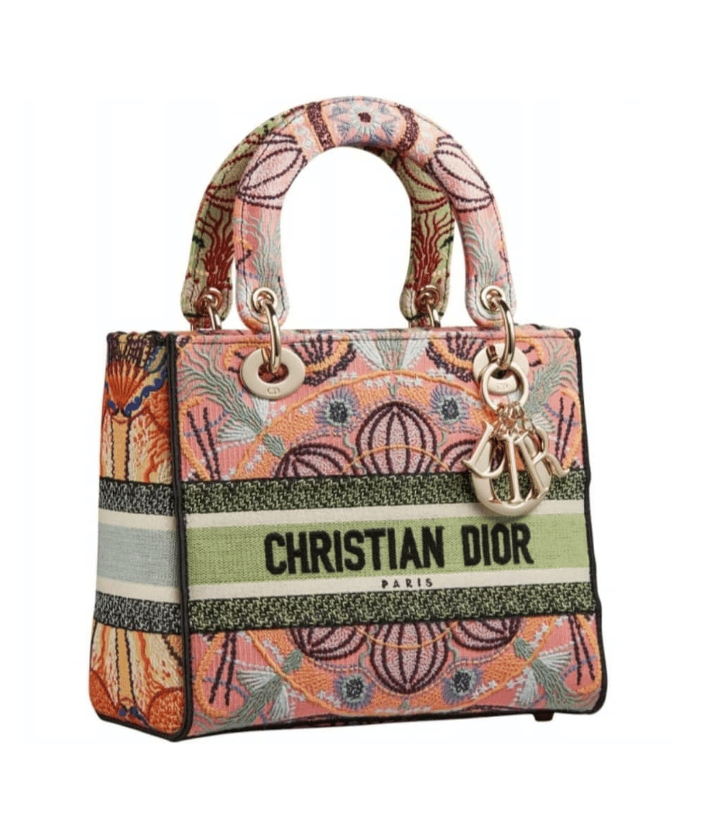 Dior D-Lite Patch Dior In Lights Embroidered - Cruise 2021