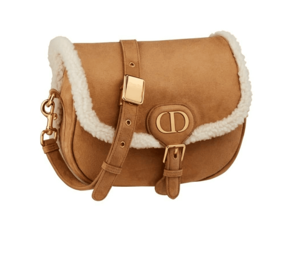 Dior Bobby Shearling Bag - Cruise 2021