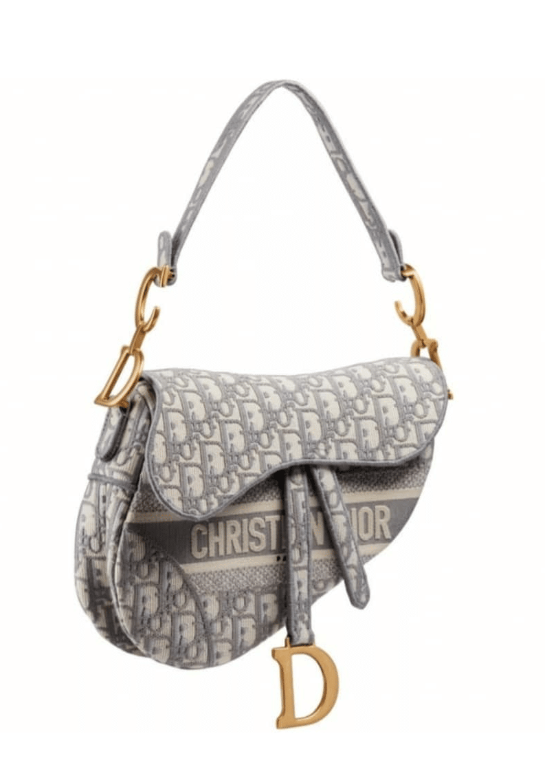 Dior Grey Oblique Saddle - Cruise 2021